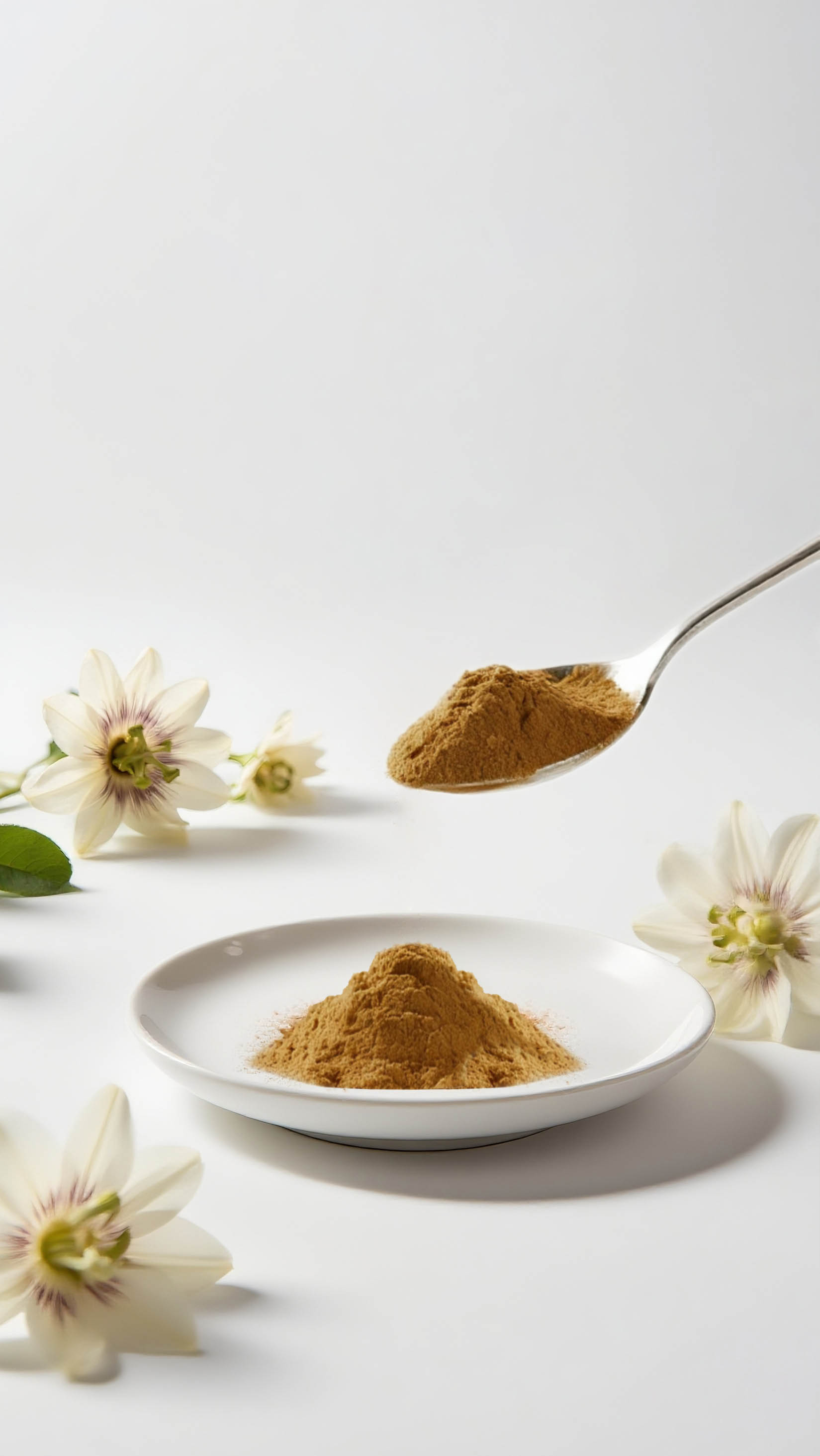 西番莲 拷贝 2.jpg