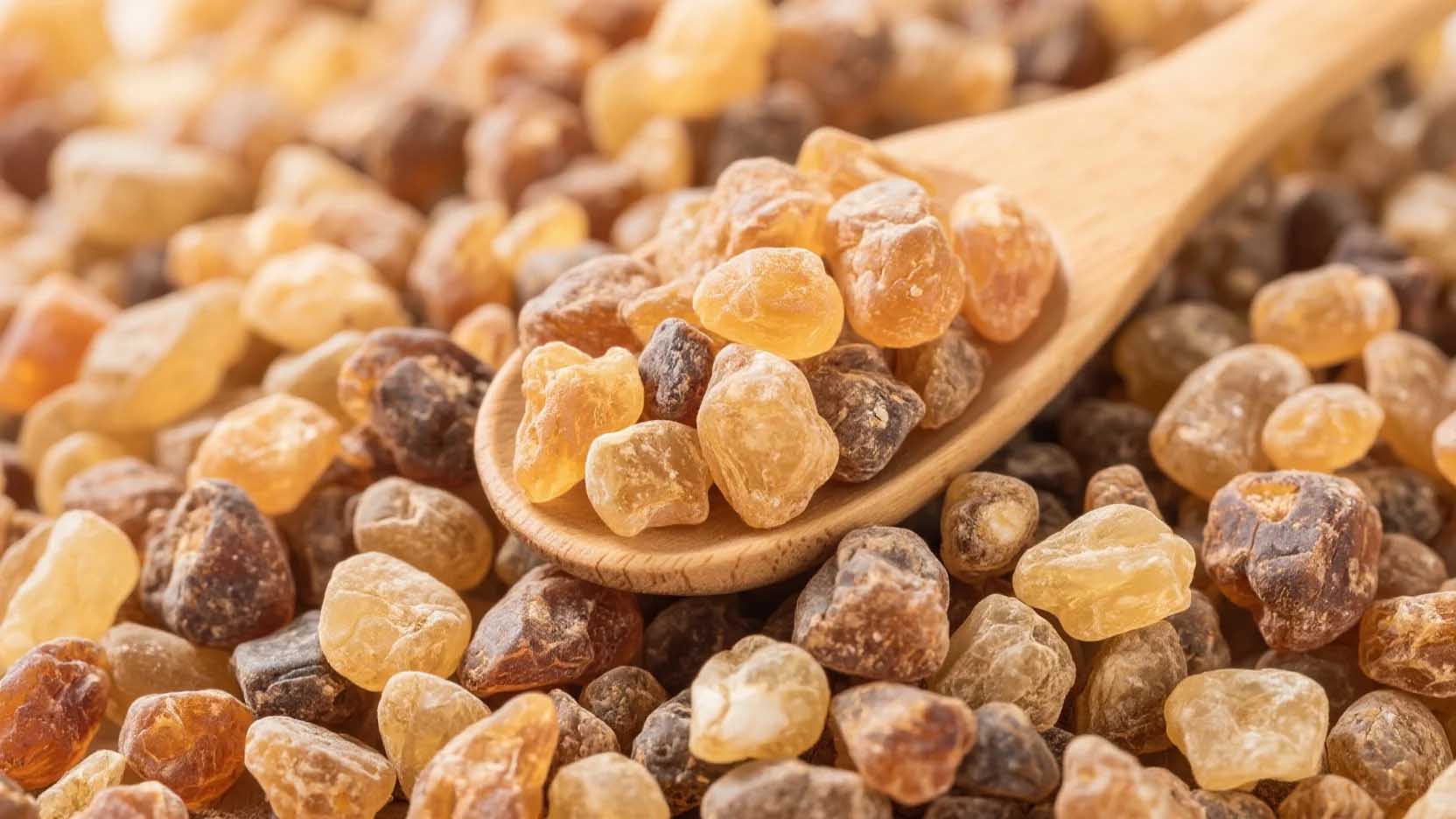 Boswellia Serrata.jpg